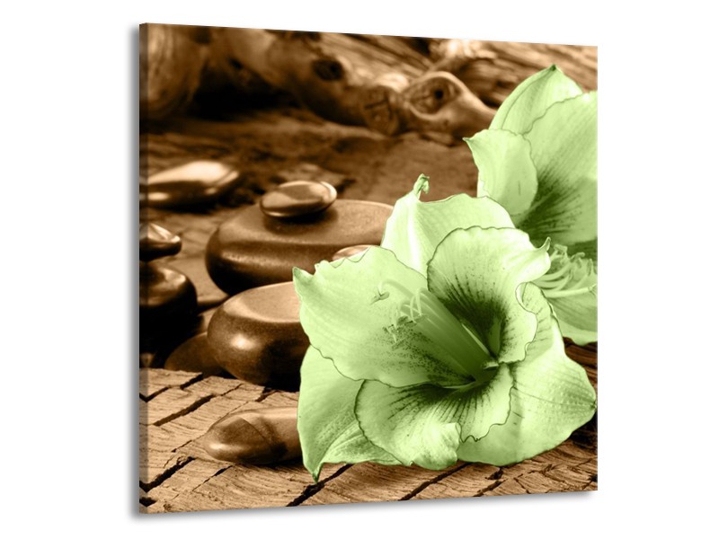 Canvas schilderij Orchidee | Groen, Bruin | 70x70cm 1Luik