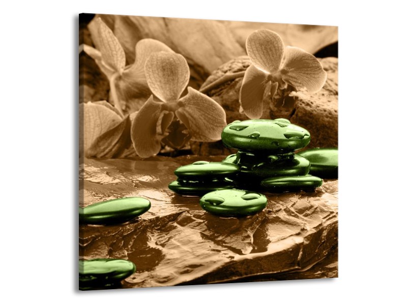 Canvas schilderij Orchidee | Groen, Bruin | 70x70cm 1Luik