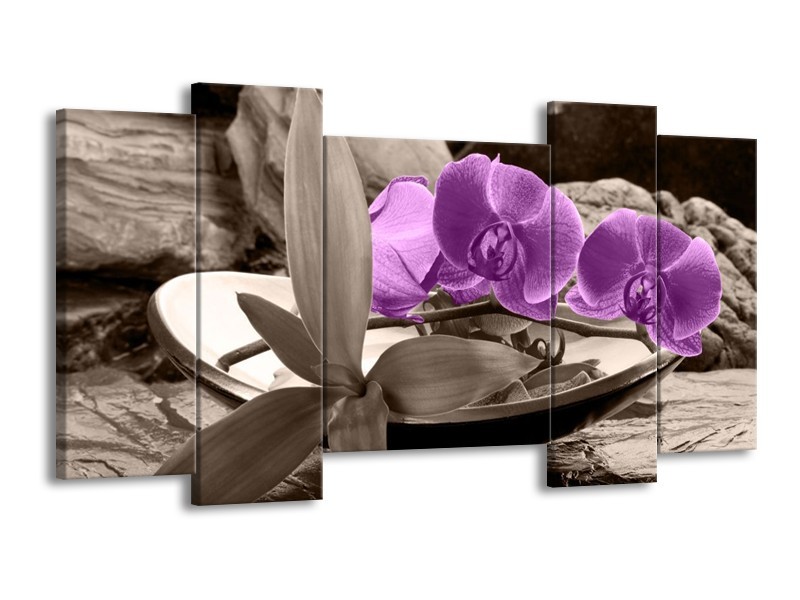 Canvas schilderij Orchidee | Paars, Grijs | 120x65 5Luik