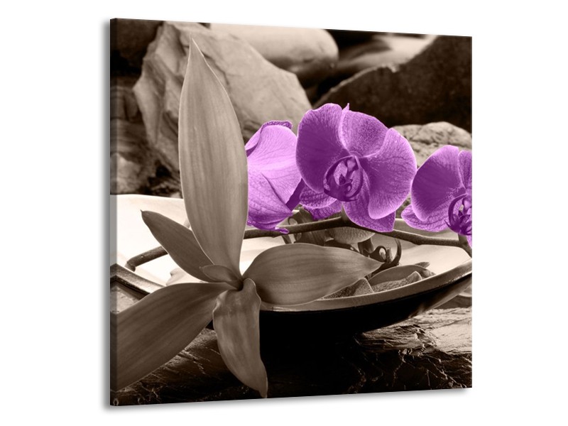 Canvas schilderij Orchidee | Paars, Grijs | 70x70cm 1Luik