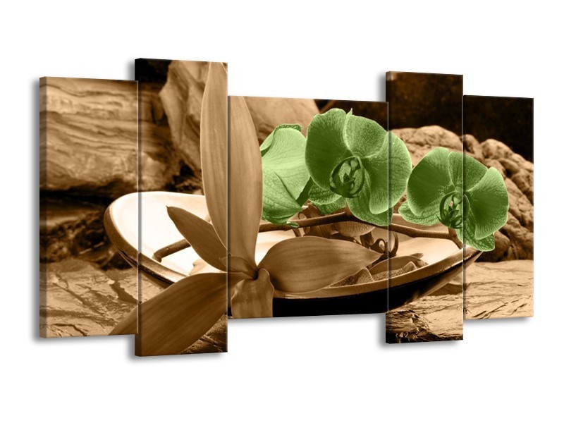 Canvas schilderij Orchidee | Groen, Bruin | 120x65 5Luik