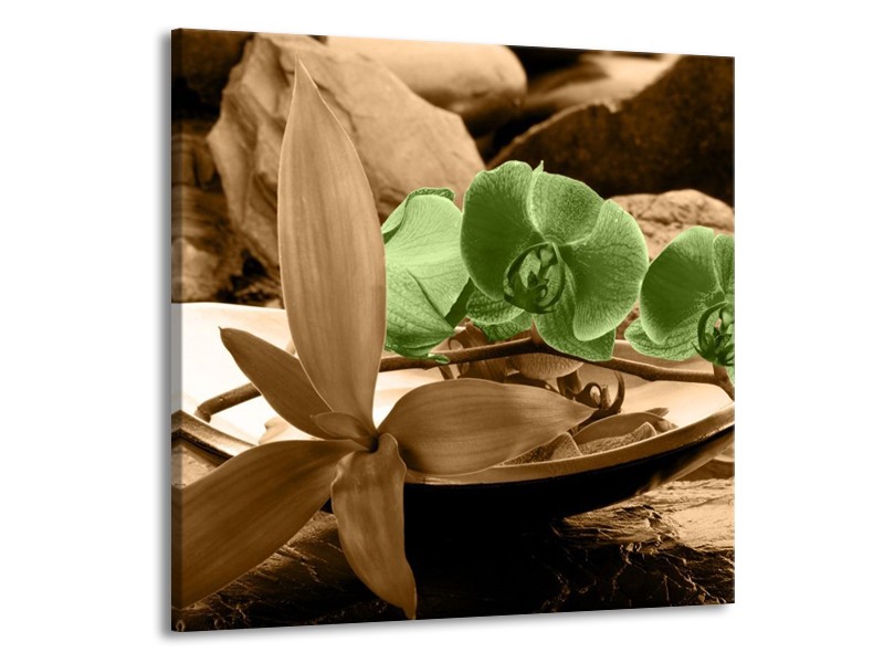 Canvas schilderij Orchidee | Groen, Bruin | 70x70cm 1Luik