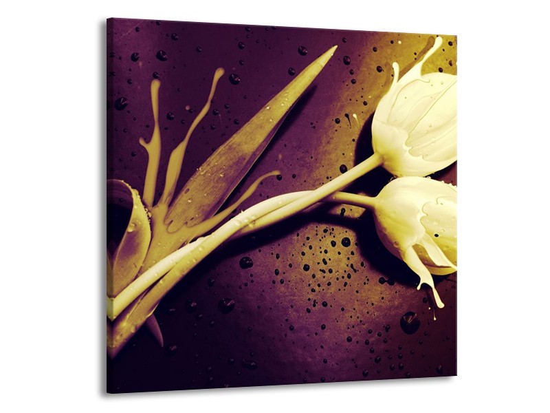 Canvas schilderij Tulp | Bruin, Wit, Paars | 70x70cm 1Luik