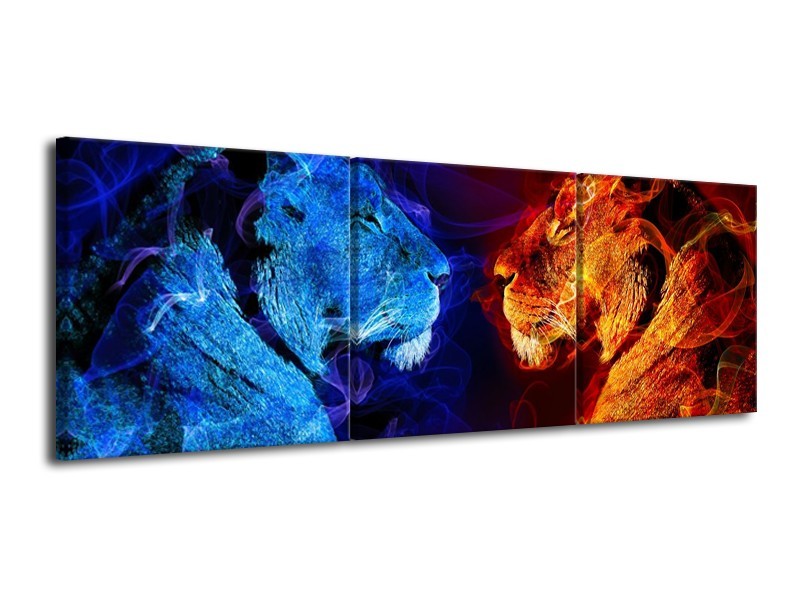 Canvas schilderij Leeuw | Rood, Blauw, Rood | 120x40cm 3Luik
