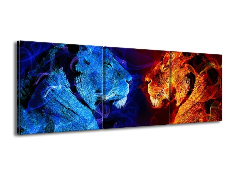 Glas schilderij Leeuw | Rood, Blauw, Rood | 150x50cm 3Luik