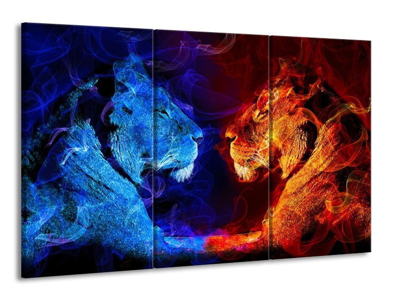 Canvas schilderij Leeuw | Rood, Blauw, Rood | 165x100cm 3Luik