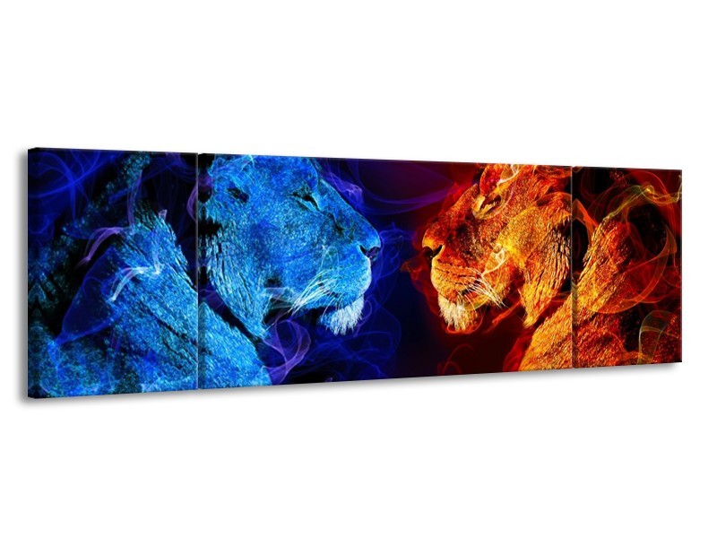 Glas schilderij Leeuw | Rood, Blauw, Rood | 170x50cm 3Luik