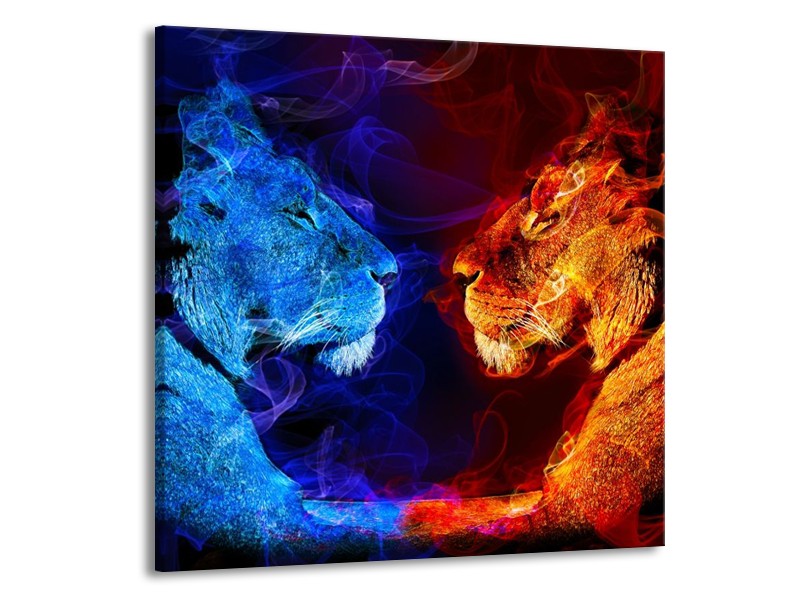 Glas schilderij Leeuw | Rood, Blauw, Rood | 50x50cm 1Luik
