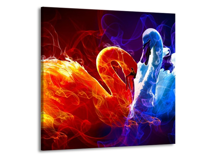Glas schilderij Zwanen | Rood, Blauw, Rood | 50x50cm 1Luik