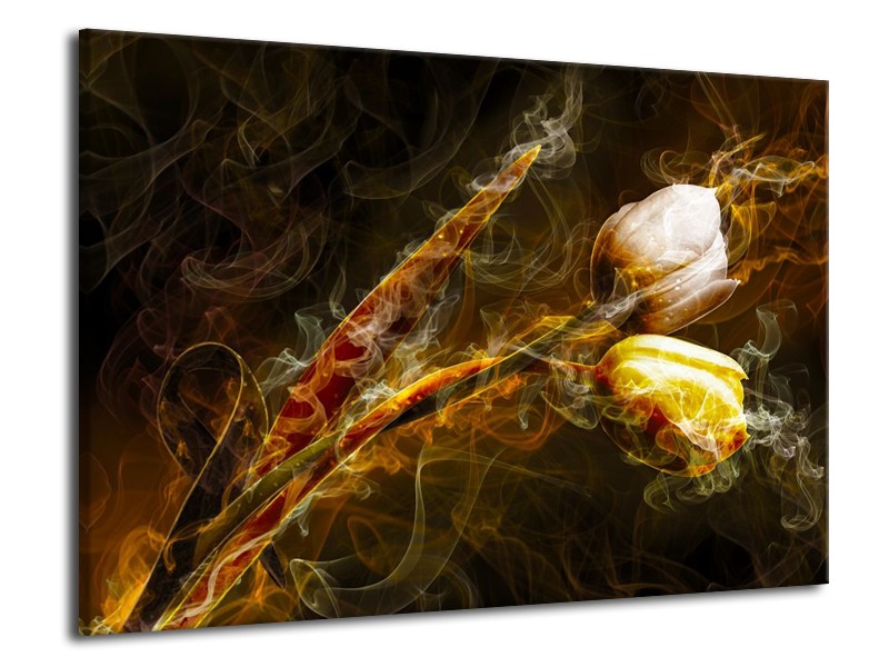 Canvas schilderij Tulp | Geel, Wit, Groen | 70x50cm 1Luik