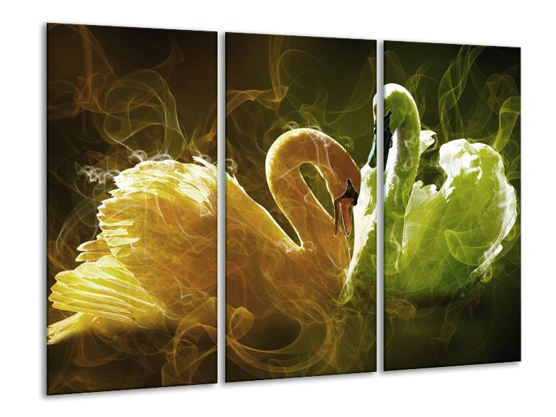 Glas schilderij Zwaan | Geel, Wit, Groen | 120x80cm 3Luik