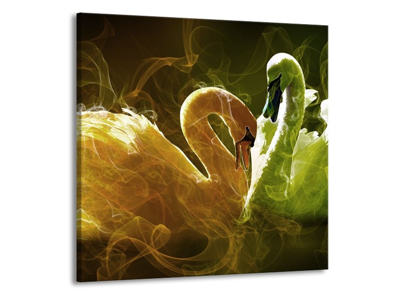 Glas schilderij Zwaan | Geel, Wit, Groen | 50x50cm 1Luik