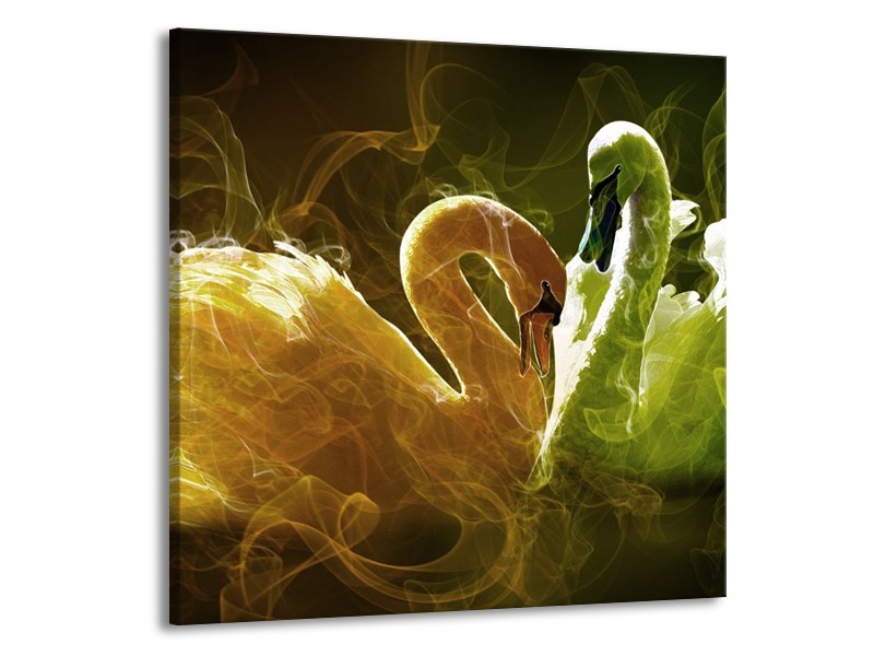 Canvas schilderij Zwaan | Geel, Wit, Groen | 70x70cm 1Luik