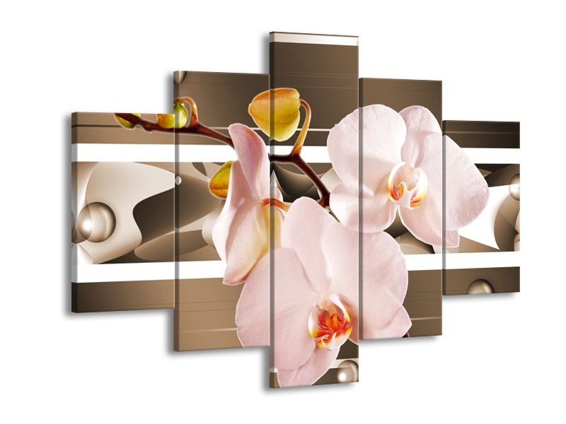 Canvas schilderij Orchidee | Bruin, Roze | 150x105cm 5Luik