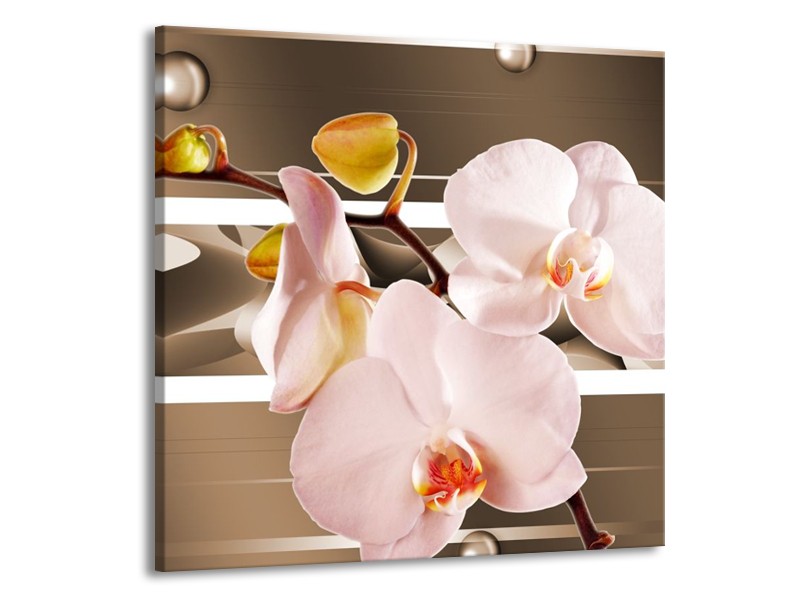 Canvas schilderij Orchidee | Bruin, Roze | 50x50cm 1Luik