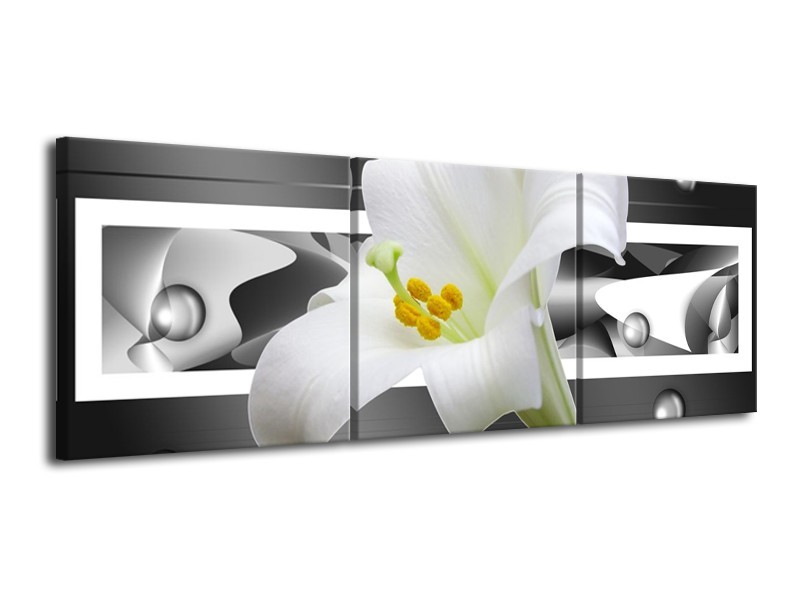 Glas schilderij Bloem | Grijs, Wit, Groen | 120x40cm 3Luik