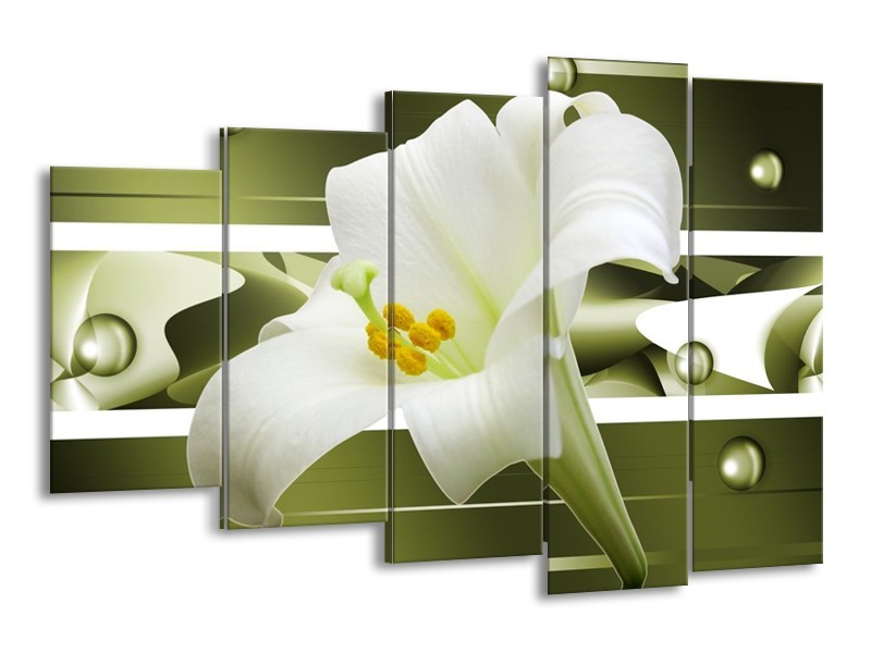 Canvas schilderij Bloem | Groen, Wit | 150x100cm 5Luik