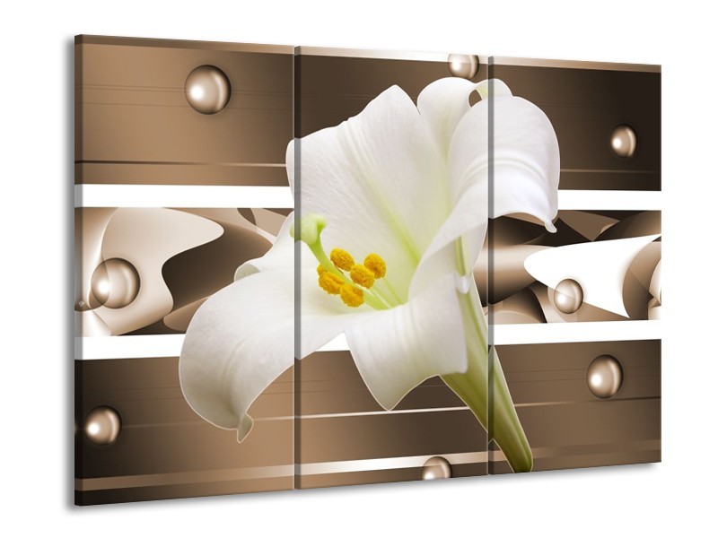Canvas schilderij Bloem | Bruin, Wit, Groen | 90x60cm 3Luik