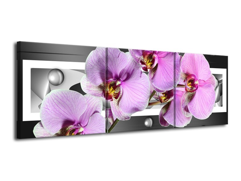 Glas schilderij Orchidee | Grijs, Paars, Wit | 120x40cm 3Luik