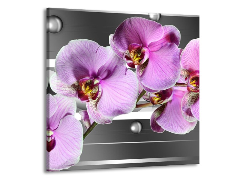 Glas schilderij Orchidee | Grijs, Paars, Wit | 50x50cm 1Luik