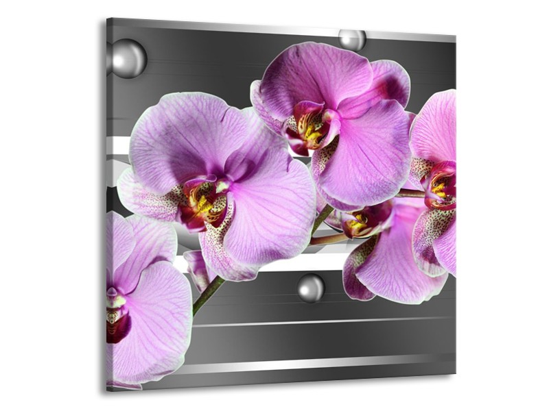 Canvas schilderij Orchidee | Grijs, Paars, Wit | 70x70cm 1Luik