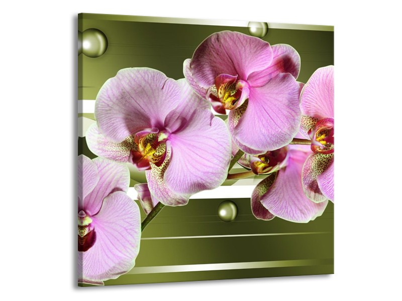 Canvas schilderij Orchidee | Groen, Paars, Roze | 70x70cm 1Luik