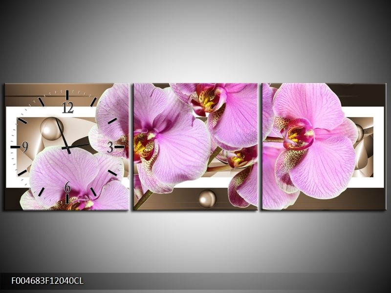 Klok schilderij Orchidee | Bruin, Paars, Roze | 120x40cm 3Luik