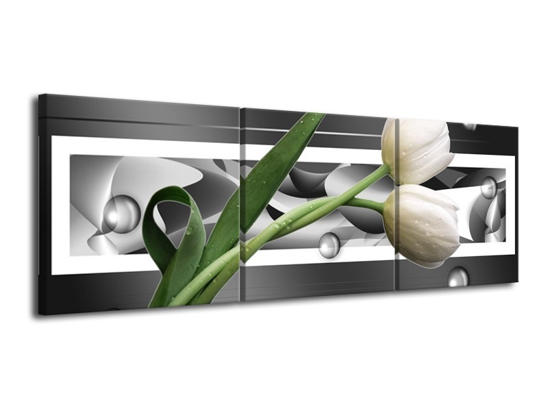 Glas schilderij Tulp | Grijs, Wit, Groen | 120x40cm 3Luik