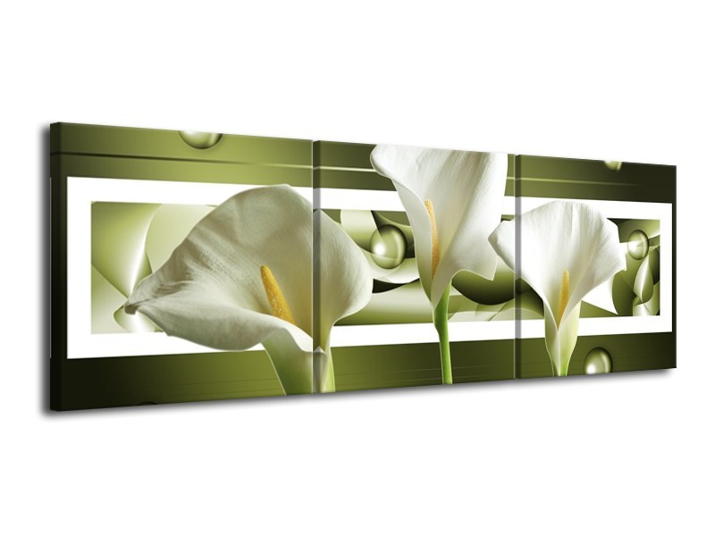 Glas schilderij Bloem | Groen, Wit | 120x40cm 3Luik