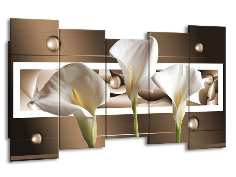Canvas schilderij Bloem | Bruin, Wit, Groen | 150x80cm 5Luik