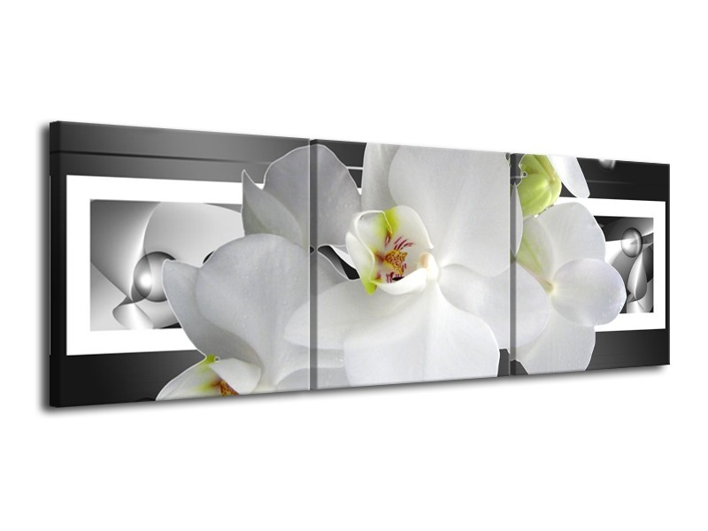 Glas schilderij Orchidee | Grijs, Wit | 120x40cm 3Luik