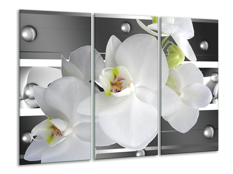 Canvas schilderij Orchidee | Grijs, Wit | 120x80cm 3Luik