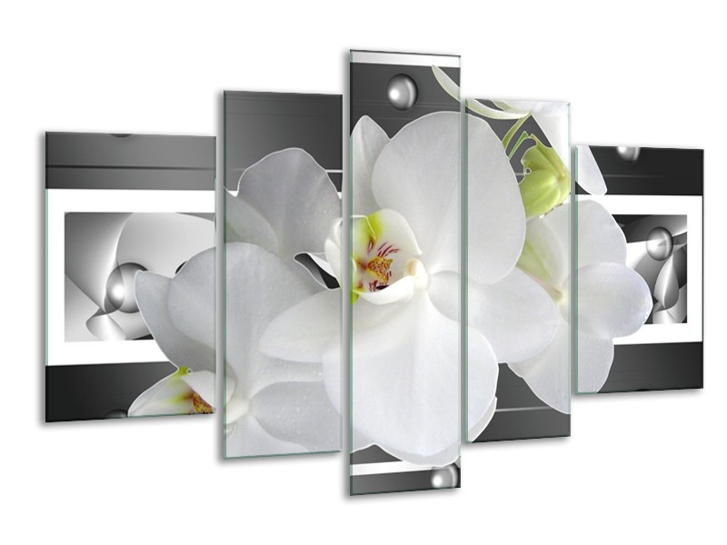 Glas schilderij Orchidee | Grijs, Wit | 170x100cm 5Luik