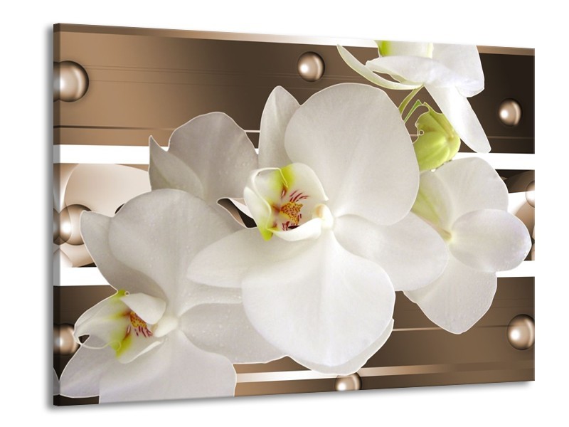Canvas schilderij Orchidee | Bruin, Wit | 100x70cm 1Luik