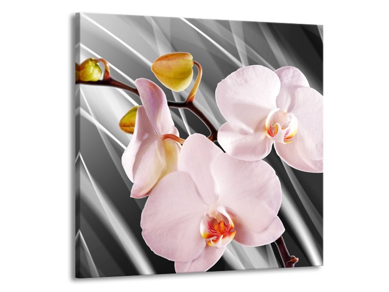 Canvas schilderij Orchidee | Grijs, Roze, Wit | 50x50cm 1Luik