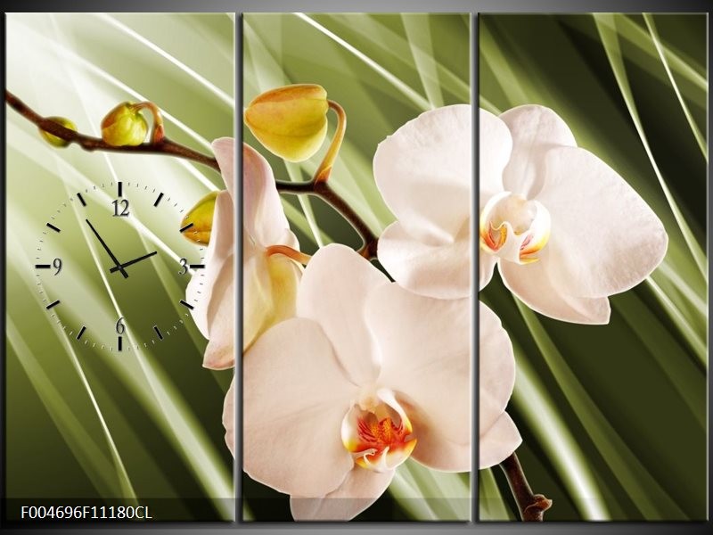 Klok schilderij Orchidee | Groen, Roze, Wit | 111x80cm 3Luik