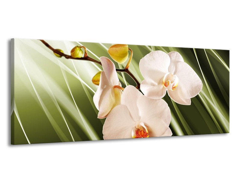 Glas schilderij Orchidee | Groen, Roze, Wit | 145x58cm 1Luik