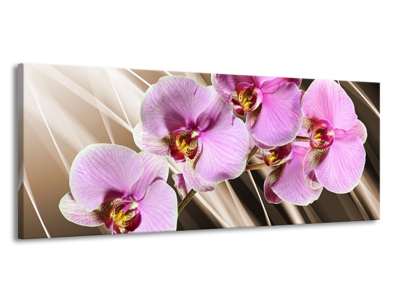Canvas schilderij Orchidee | Groen, Bruin, Roze | 145x58cm 1Luik