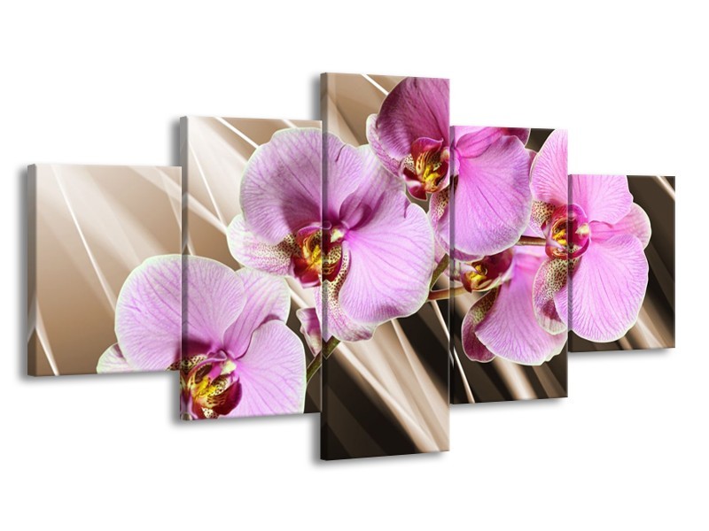 Canvas schilderij Orchidee | Groen, Bruin, Roze | 150x80cm 5Luik
