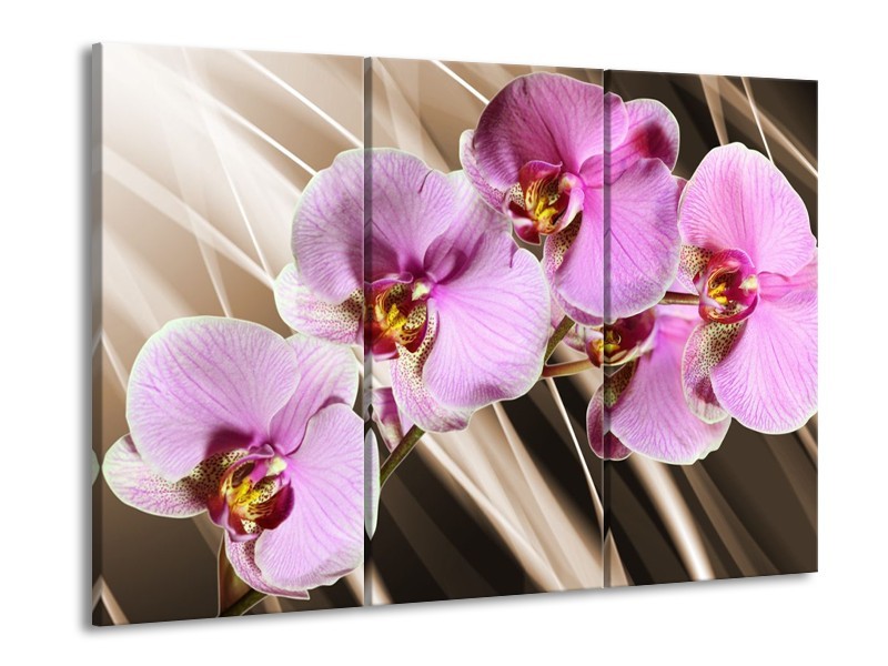 Canvas schilderij Orchidee | Groen, Bruin, Roze | 90x60cm 3Luik