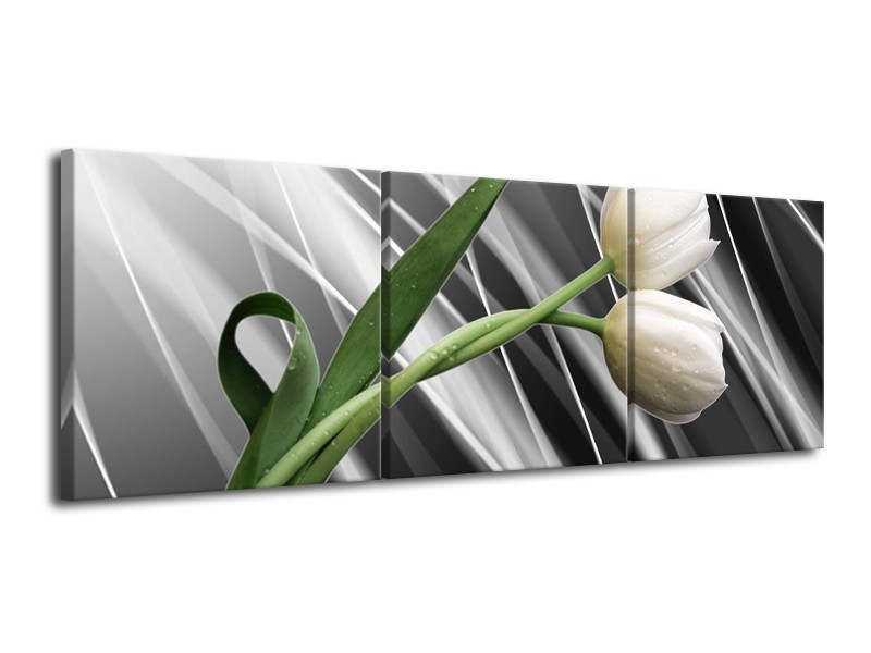 Glas schilderij Tulp | Grijs, Wit, Groen | 120x40cm 3Luik