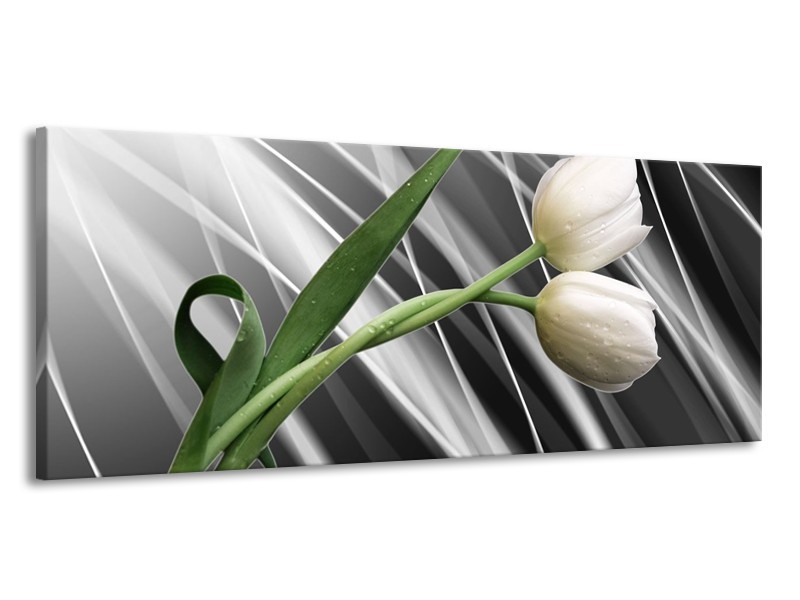 Canvas schilderij Tulp | Grijs, Wit, Groen | 145x58cm 1Luik