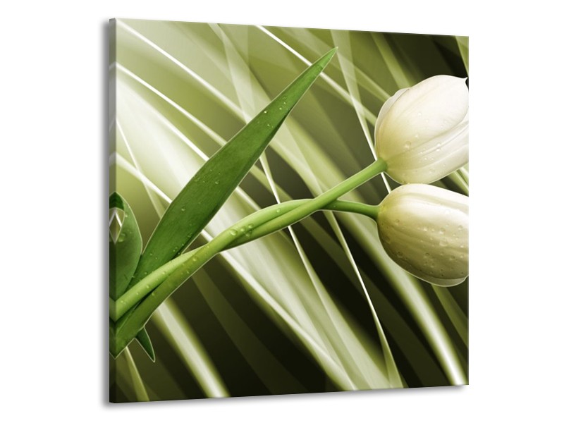 Canvas schilderij Tulp | Grijs, Wit, Groen | 70x70cm 1Luik