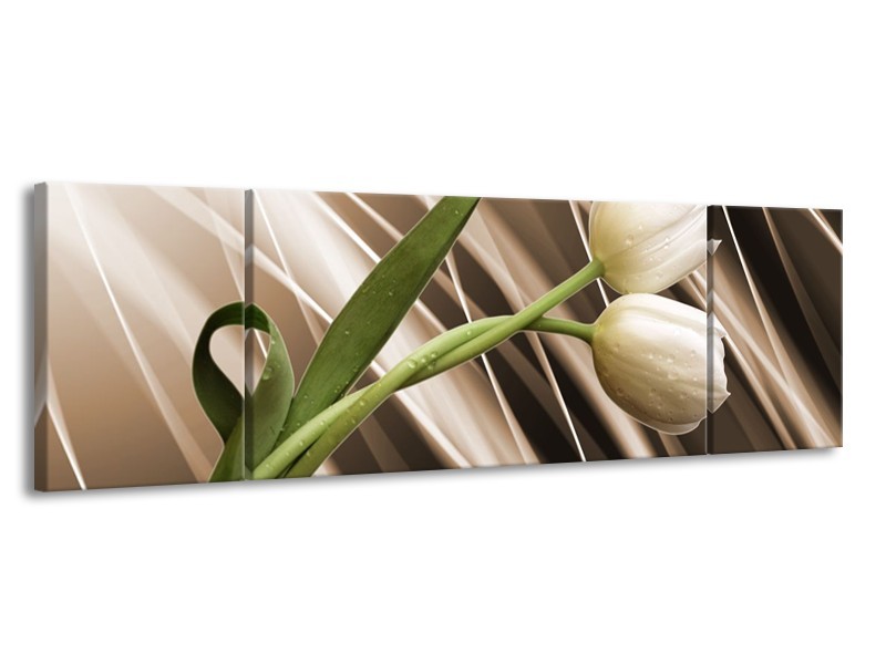 Glas schilderij Tulp | Bruin, Wit, Groen | 170x50cm 3Luik