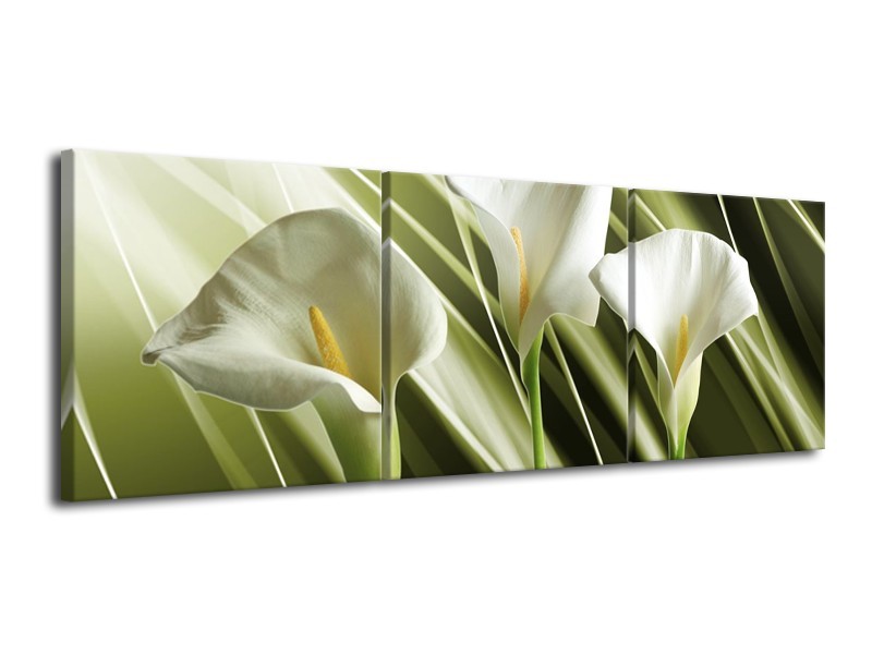 Glas schilderij Bloem | Groen, Wit | 120x40cm 3Luik
