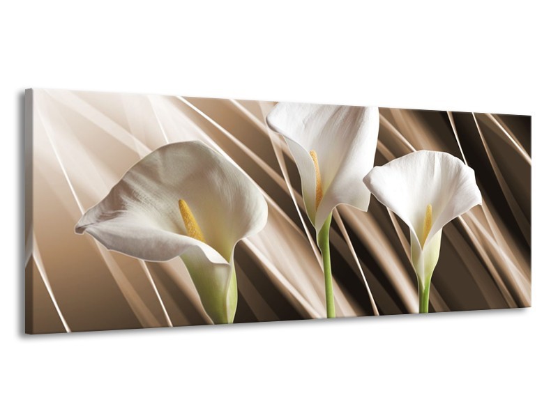 Glas schilderij Bloem | Bruin, Wit, Groen | 145x58cm 1Luik