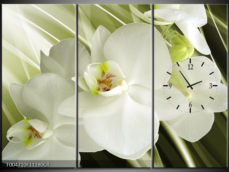 Klok schilderij Orchidee | Groen, Wit | 111x80cm 3Luik