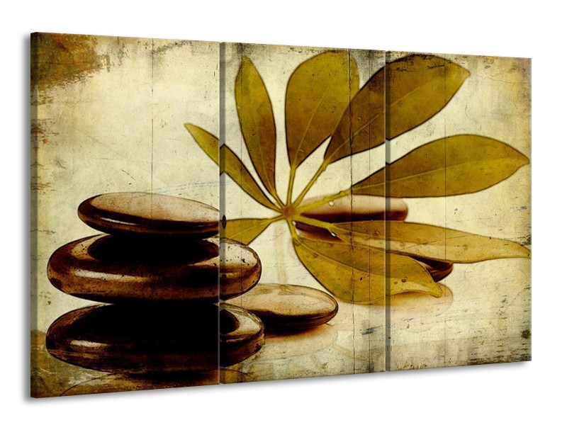 Glas schilderij Spa | Bruin, Zwart | 165x100cm 3Luik