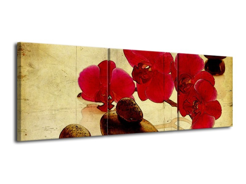 Canvas schilderij Orchidee | Rood, Bruin, Geel | 120x40cm 3Luik