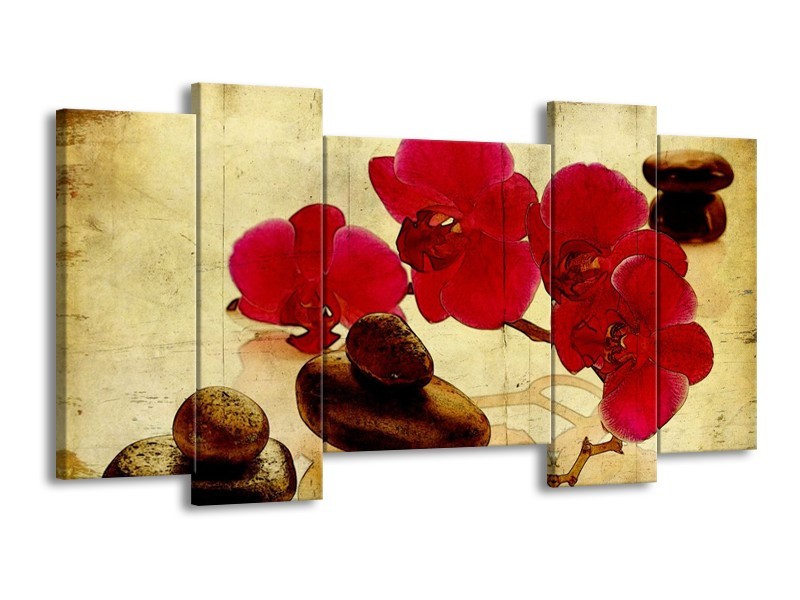 Canvas schilderij Orchidee | Rood, Bruin, Geel | 120x65 5Luik